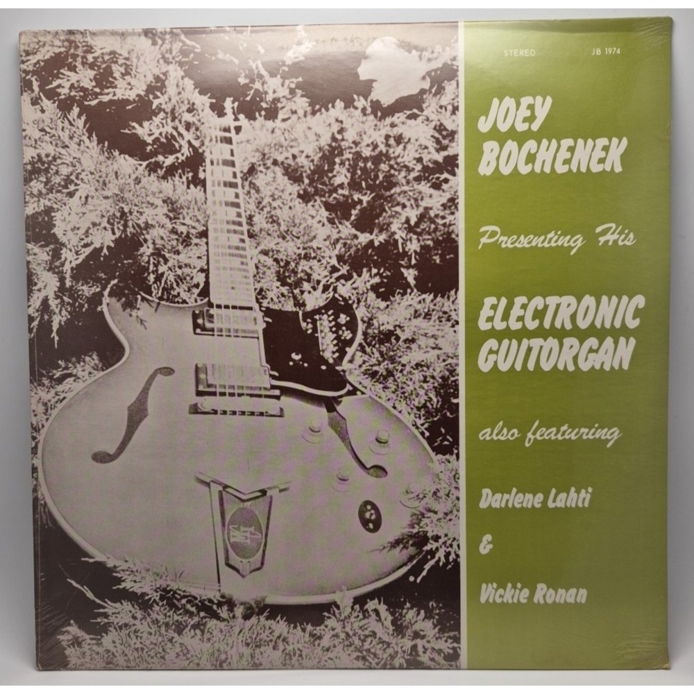 Joey Bochenek Presents His Electronic Guitorgan